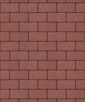 Тротуарная плитка Прямоугольник 200х100х40 мм, красный