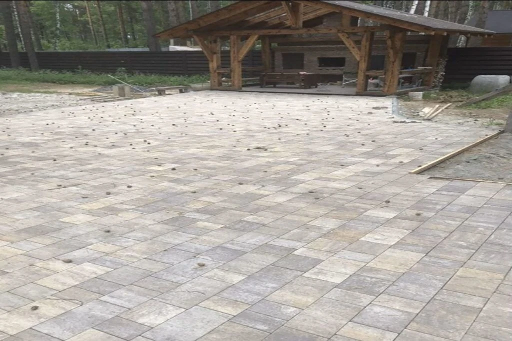 28-1024x683.jpg 28-1024x683.jpg