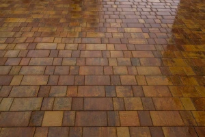 Купите тротуарную плитку Б.1.Фсм.6 гладкий листопад