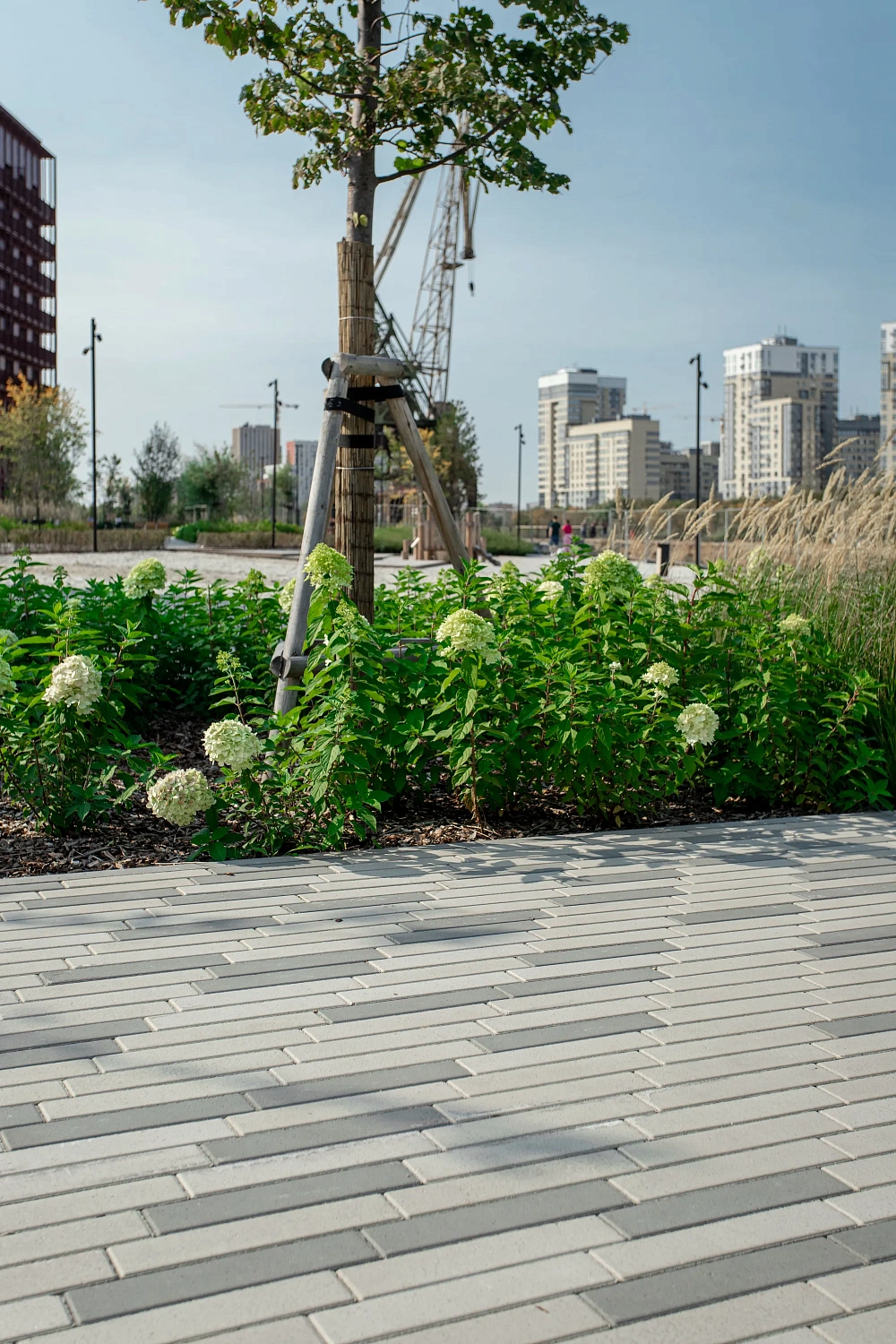 Жилой комплекс Речной порт и продолжение набережной в Тюмени
