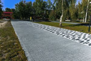 Купите паркет от производителя «Выбор»