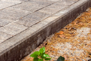 Купить бордюры БР.100.20.8 (11) гранит листопад (бел.черн.коричн.) - Старый замок от производителя - Компания «Выбор»