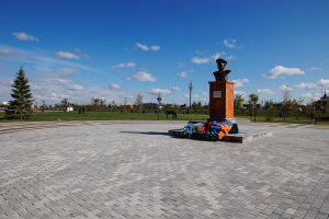 Купите тротуарную плитку Б.2.П.6 гладкий листопад (черный, белый) - Антрацит